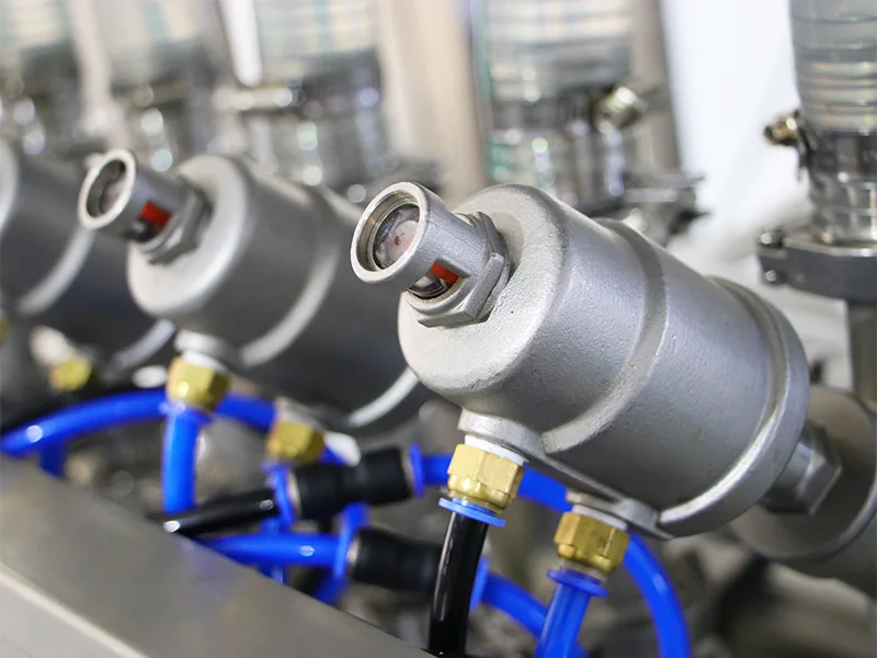 Hydrogen-Rich Water Spout Pouch Filling Machine